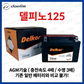 대림 델피노125 델피노 125 AGM 배터리 12V 8Ah, 1개