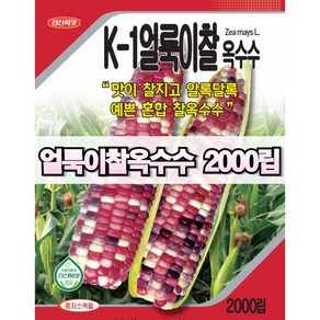 찰옥수수 씨앗 대용량 얼룩이찰 2000립 경신종묘