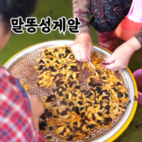 산지직송 포항 성게알 우니 보라성게 500g 1kg