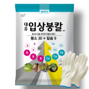 대유 입상붕칼 1kg 고추 배추 입상붕사 붕소 칼슘 결핍 비료+장갑증정, 단품, 1개