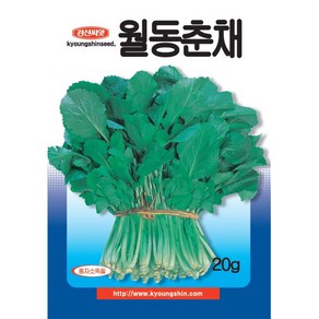 (씨앗) 월동춘채 - 겨울초 - 순무유채 - 월동초 - 겨울초 씨앗 종자 - 20g, 1개