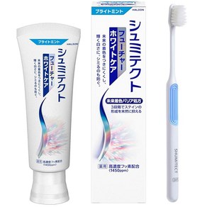 슈미텍트 퓨처 화이트케어 의약외품 화이트닝 치약 지각과민케어 고농도 불소 함유 1450ppm 미백 스테인 착색 오염에 + 칫솔 포함, 1개