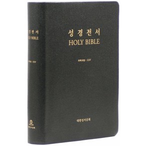 개역개정 ESV 한영대조 성경전서-NKES87EDI/대/단본/무색인/무지퍼/가죽/검정