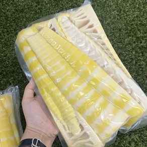[고객 만족 1위] 25년 햇 담양산 삶은 죽순, 1개, 1kg