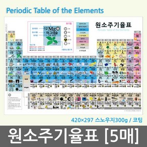 원소주기율표(5매) KTS