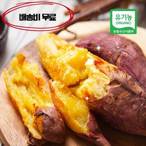 무안 유기농 햇고구마 꿀 달수고구마 3KG, 왕-3kg, 1개