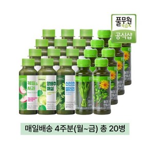 풀무원녹즙 매일배송 채소습관 데일리프로그램 4주분월-금 총20병, 0.13l, 20개