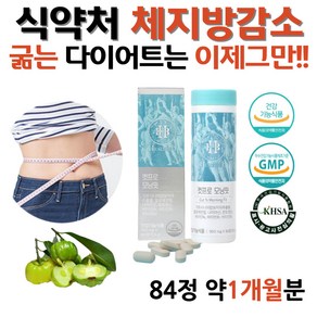 식약청 여성 단기 하체비만 다이어트 알로에전잎 무수바바로인 HCA 가르시니아 캄보지아 일주일 단기간 예비신부 여성 출산후 연애인 다이어트, 1개, 84정