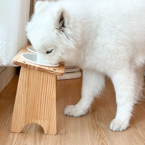 대형견 밥그릇 강아지 식탁 애견 고양이 수반 오일코팅 식기 2구, 대형견 오일코팅 식기 2구, 26cm, 대형 유광화이트 2개, 1개