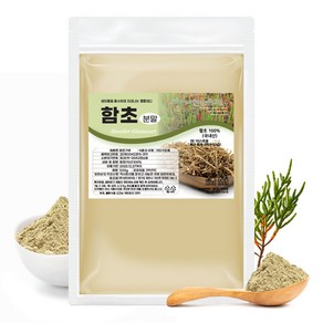 함초 분말 가루 퉁퉁마디 국내산, 500g, 1개