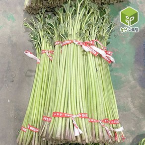 국내산 햇 머구대 머위대 4kg, 1개