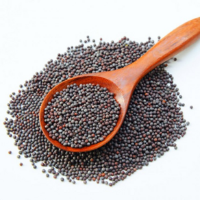 MUSTARD SEED 겨자씨 (인도) 150G