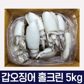 손질 갑오징어 홀크린 5kg 베트남산 껍질내장제거 냉동갑오징어 벌크, 300/500, 1개