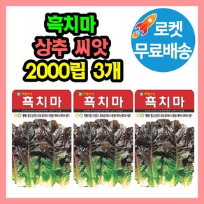 흑치마 상추 씨앗 (합 6000립) 종자 쌈 채소, 3개