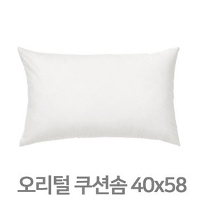 이케아 FJADRAR (피에드라르) 오리털 쿠션솜 40x58 쿠션패드 침대헤드쿠션솜 오프화이트 003.727.74