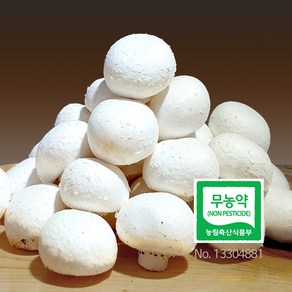 친환경 무농약 부여 양송이 버섯 특품 500g 1kg 2kg 선물용, 1박스