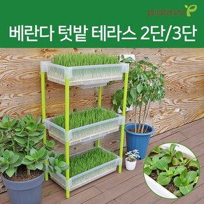 플라팜 새싹보리 씨앗키우기 실내 화분 베란다텃밭 재배기, 2단