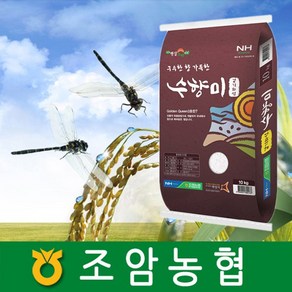 2024년 햅쌀 경기도 조암농협 수향미 10kg 화성시 대표브랜드, 1개