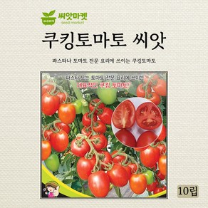 세계종묘 쿠킹토마토 씨앗 10립, 1개