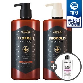 애경 [비밀] 케라시스 로얄 프로폴리스 샴푸/트리트먼트 1L x2개 +샴푸180ml 2개증정, 로얄 그린 트리트먼트 1L x2개, 2개