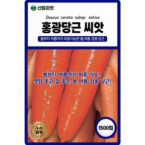 산들마켓 홍광당근 씨앗 1500립 봄부터 여름까지 파종가능한 우수 품종, 1개