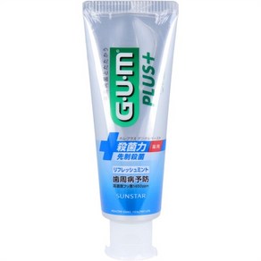 GUM 검 플러스 치약 덴탈 페이스트 리프레시 민트 120g, 1개