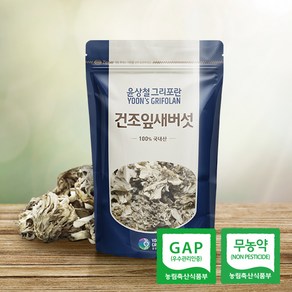 윤상철 건조잎새버섯 100g 무농약 GAP 국내산