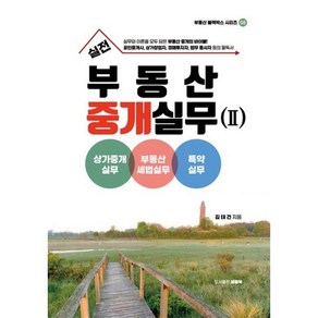 실전 부동산 중개실무 2: 상가중개실무. 부동산세법실무 특약실무, 애플북, 김태건 저