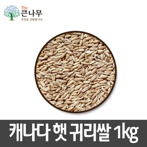 The큰나무 캐나다/호주 귀리 5kg 햇 귀리쌀