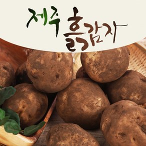 25년 타박타박 제주 구좌 햇 감자, 1박스, 10kg(중)