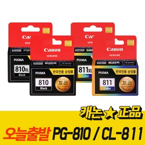 캐논잉크 PG-810