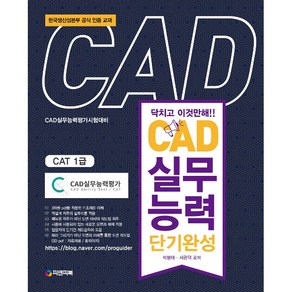 CAD 실무능력 단기완성 : CAT 1급, 피앤피북