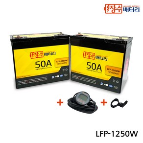 장수배터리 LFP리튬인산철 전동휠체어배터리 LFP-1250W (12V50Ah) 2개1세트, 2개