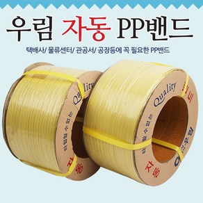 영미네 자동밴딩끈(12mm)2개입, 엘로우, 2개