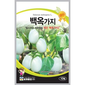 백옥가지 씨앗 10립 세계종묘 종자, 1개