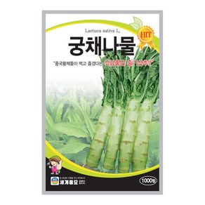 주주씨앗 궁채 씨앗 줄기 상추 씨앗 celtuce seeds 1000립 / 뚱채 씨 궁채나물 이색 채소 종자