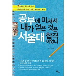 공부에 미쳐서 내가 얻은 것은 서울대 합격이었다:명문대 합격을 위한 자기주도형 공부법과 입시전략 Q&A, 하늘아래