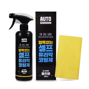 오토가디언 얼룩없는 셀프 유리막코팅제 250ml, 1개