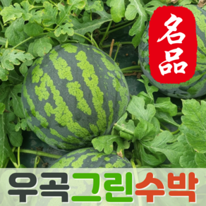 [당도선별] 새벽경매 고당도 명품 고령 우곡 그린 수박, 1개, 특품 꿀수박 7~8kg