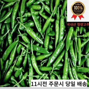 국내산 청량고추 특품 청량고추1kg 2kg 3kg 5kg 10kg, 1개, 청량고추 특품3kg