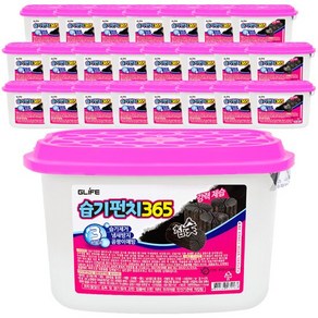 지라이프 습기펀치365 참숯 제습제 본품, 250g, 24개