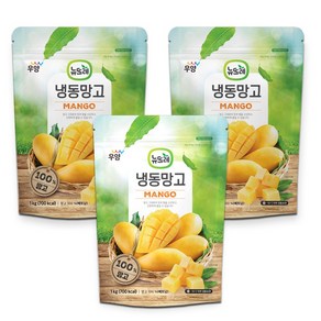 [도도나몰] 냉동 망고 뉴뜨레, 3개, 1kg