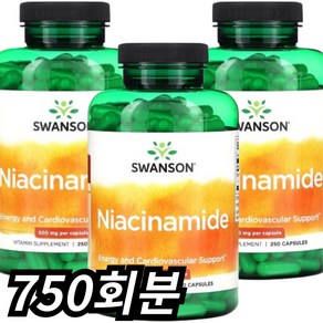 스완슨 나이아신아마이드 500mg 캡슐, 1개, 750회분