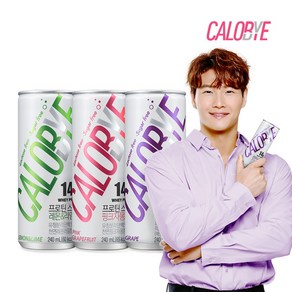 칼로바이 프로틴 스파클링 단백질 음료 분리유청 WPI 헬스보충 24개입, 240ml, 24개