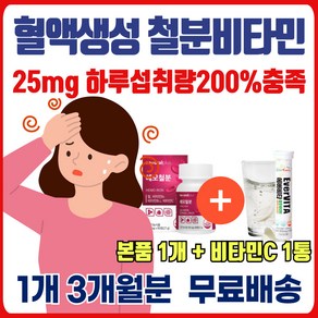 철분 부족 어지럼증 머리 어지러울때 철 보충제 영양제 식약처 인증 남자 여자 임산부 노인 어르신 철분제 비타민C 비타민B 활력 혈액 생성 에너데이 현기증 머리가 핑 눈앞이 캄캄, 1개, 90정