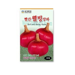 모칸도 세계종묘 빨강웰빙양파 800립, 1개