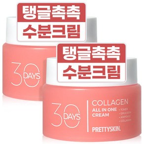 프리티스킨 콜라겐 수분크림 올인원 영양 보습 크림 100ml 2개, (무료배송)[AA6] 시카 2개