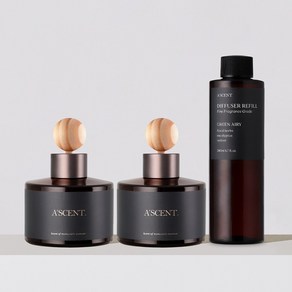 [1+1+1] 에이센트 차량용 디퓨저 120ml 2구 + 리필 200ml 기획세트, 1세트, 07 그린에어리