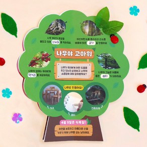 북아트 곤충북, 5set[일괄포장]