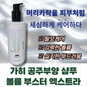 [공식정품] 공주부양 샴푸 볼륨 부스터 엑스트라_탈모샴푸 볼륨샴푸, 2개, 500ml